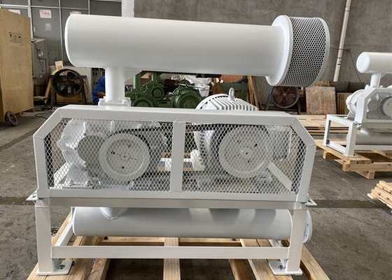 10-80Kpa PRM1500-2200 DN50 Soffiatore a tre lobi per il trattamento dell'acqua