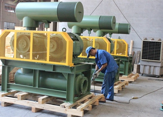 80Kpa raffreddamento ad acqua ad alta pressione ventilatore a tre radici