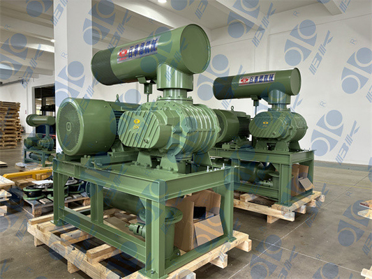 11kw 5.1m3/Min 60kpa pianta il ventilatore rotatorio 1750 giri/min. Dn65 3" del lobo di piccola capacità