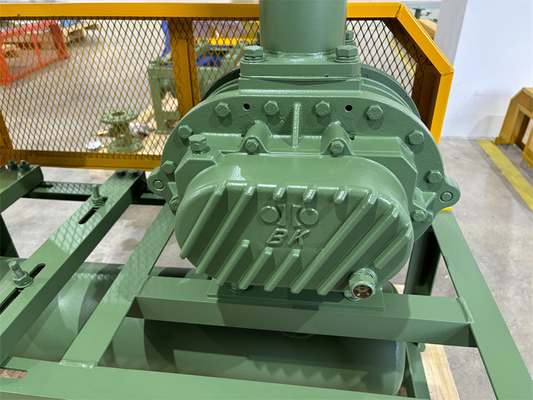 55kw BKW6005 per ariazione delle acque reflue