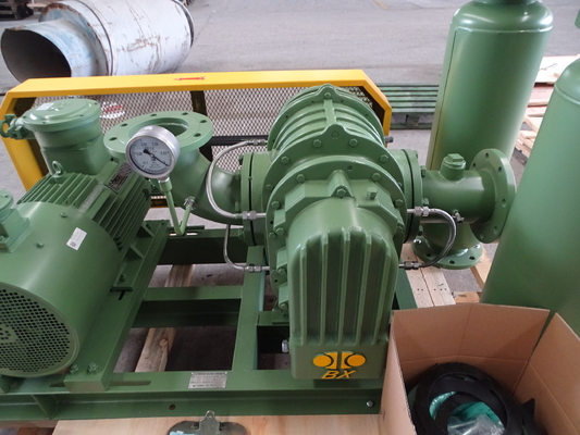 1500 giri al minuto 10 Kpa 2,67 m3/min Trattamento termico Soffiatore di radici con acciaio inossidabile