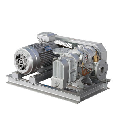 BX100  4'' 3.18-11.74 m³/min 0.1-0.7 kgf/cm² Soffiatore Roots Serie BX in Acciaio Inossidabile