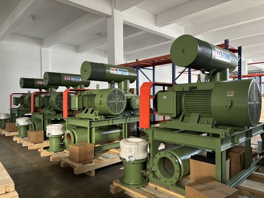 Soffiatore a lobi rotanti Roots con 3 L/min di acqua di raffreddamento, pressione di scarico 60-100KPA e potenza motore 1,5-5,5 KW