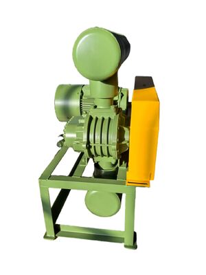 Pompa per vuoto soffiante a radici industriale con intervallo di velocità rotazionale da 850 a 1800 giri/min per l'erogazione di aria sottovuoto in vari settori