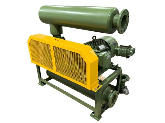 Pompa per vuoto soffiante a radici industriale con intervallo di velocità rotazionale da 850 a 1800 giri/min per l'erogazione di aria sottovuoto in vari settori