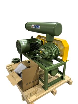 Pompa per vuoto soffiante a radici industriale con intervallo di velocità rotazionale da 850 a 1800 giri/min per l'erogazione di aria sottovuoto in vari settori