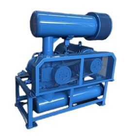 Pompa per vuoto Roots Blower Modello BV10034 con dimensioni di ingresso e uscita DN350 per capacità di aspirazione in vari settori