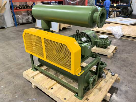 Pompa per vuoto Roots Blower Modello BV10034 con dimensioni di ingresso e uscita DN350 per capacità di aspirazione in vari settori