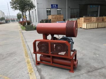 BK7006 Soffiatore a tre radici di lobi per l' aerazione e il retrolavaggio delle acque