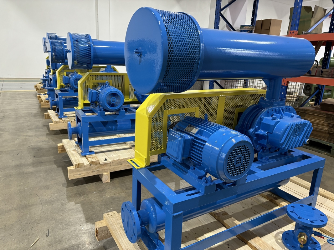 DN200 30-132 kw 10-80 kpa Radici Lobo rotativo Soffiatore di aria raffreddamento Blu