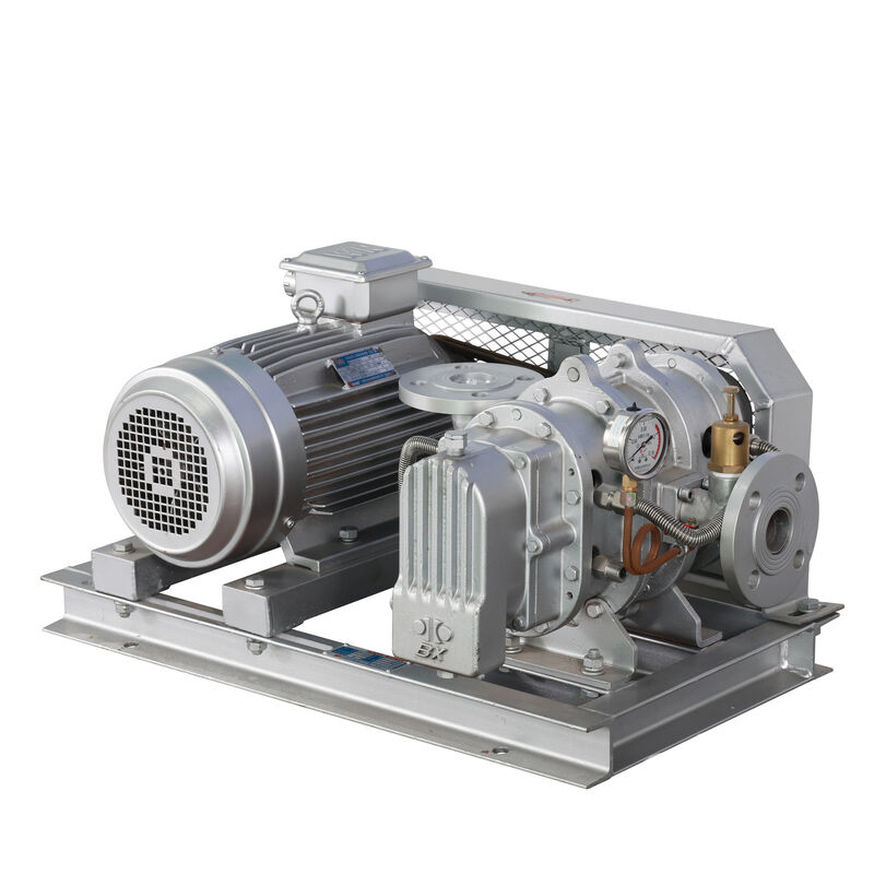 BX100  4'' 3.18-11.74 m³/min 0.1-0.7 kgf/cm² Soffiatore Roots Serie BX in Acciaio Inossidabile