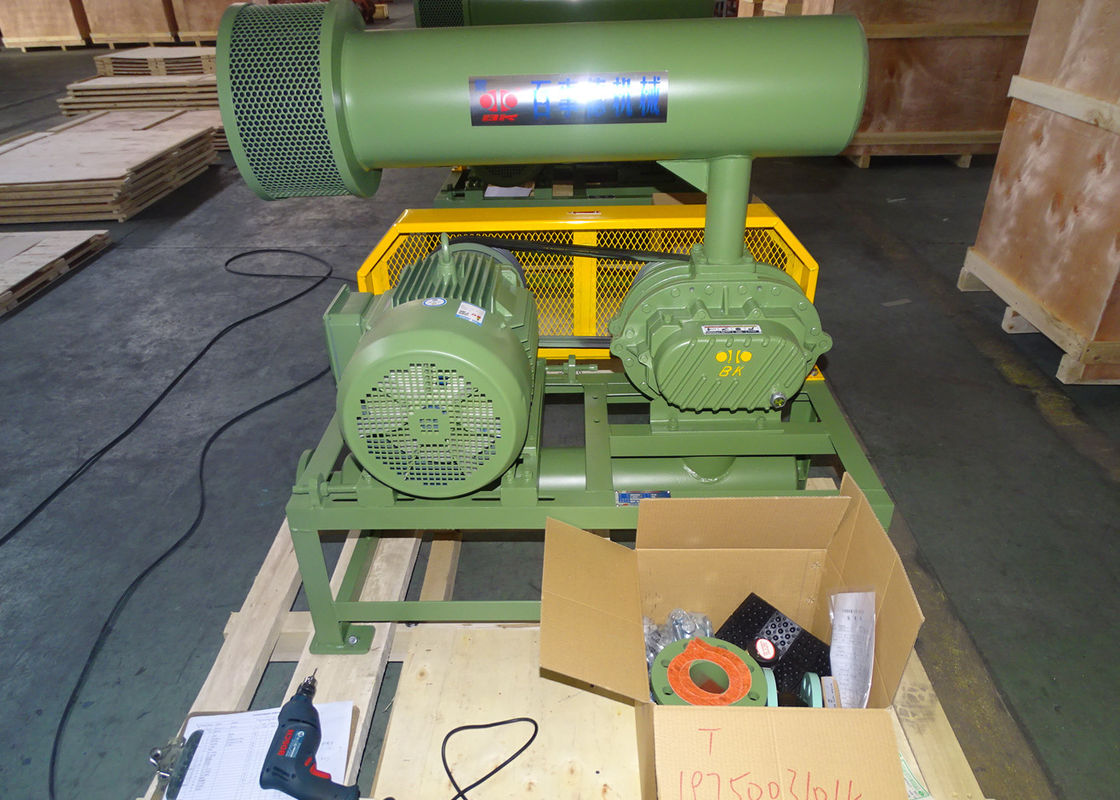 11kw 5.1m3/Min 60kpa pianta il ventilatore rotatorio 1750 giri/min. Dn65 3" del lobo di piccola capacità