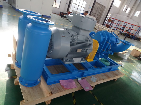 DN40 0.42-1.42 M³/min Soffiatore Roots in Acciaio Inossidabile per Gas Speciali