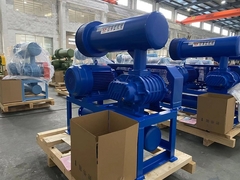 Nuovo tipo di soffiatore radici per il trattamento dell'acqua