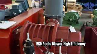 Soffiatore per radici BKD